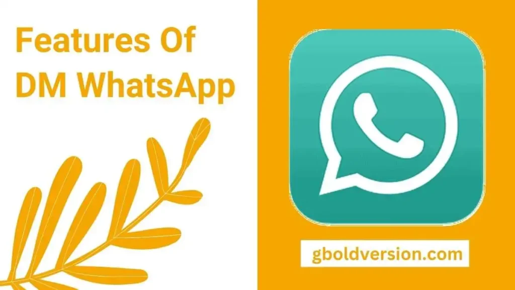 Features Of DM WhatsApp
