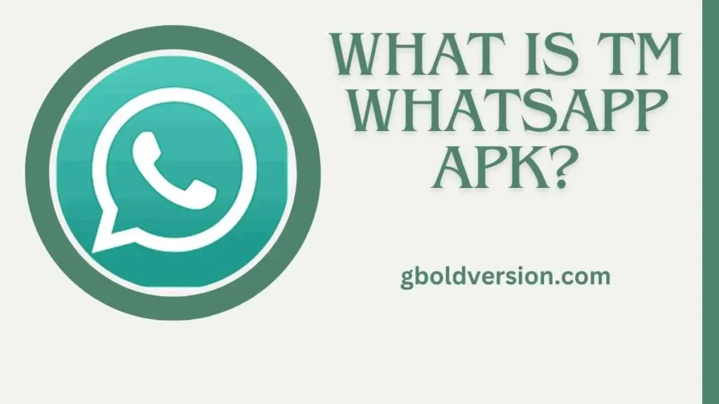 What Is TM WhatsApp APK